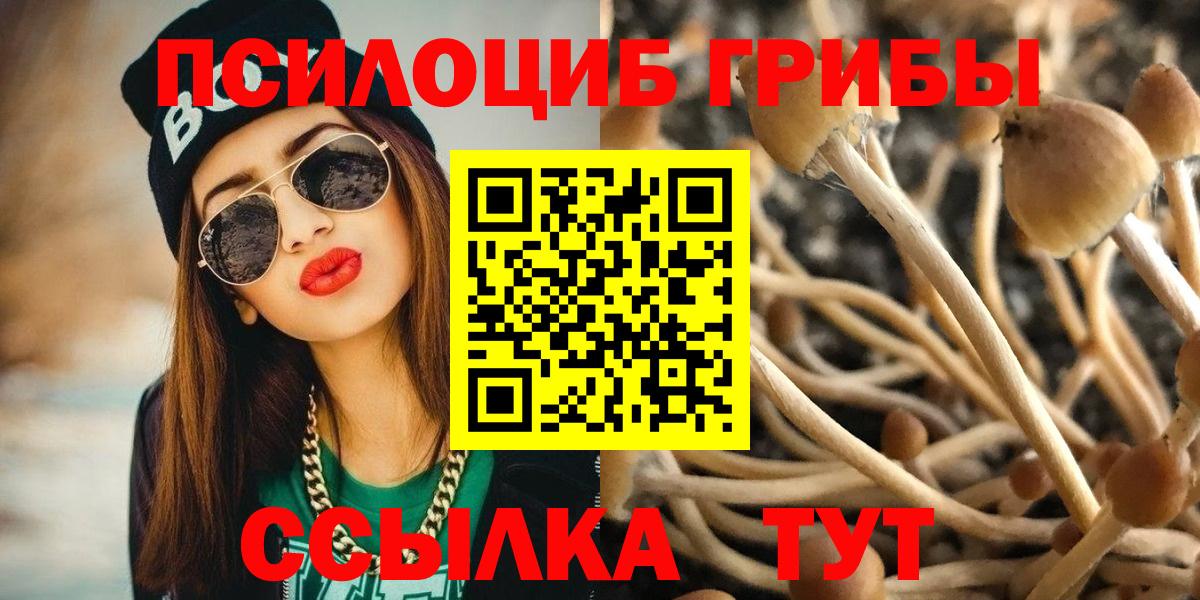 Меф МЯУ МЯУ кристаллы  Кокаин  Петропавловск-Камчатский  Лсд 25  Вход с VPN  Гашиш  Амфетамин  